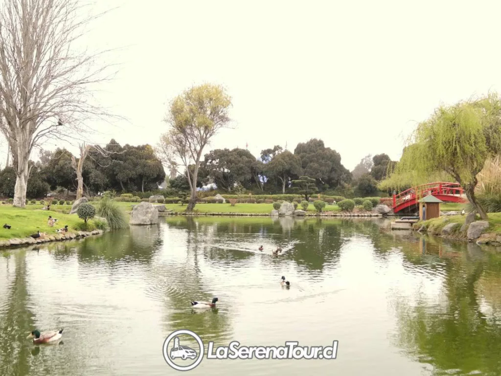 Parque Jardin Japones La serena