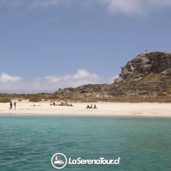 Tour Isla Damas
