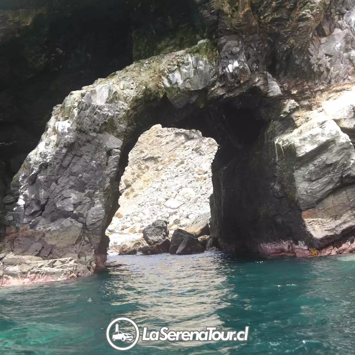 Tour Isla Damas - Imagen 3