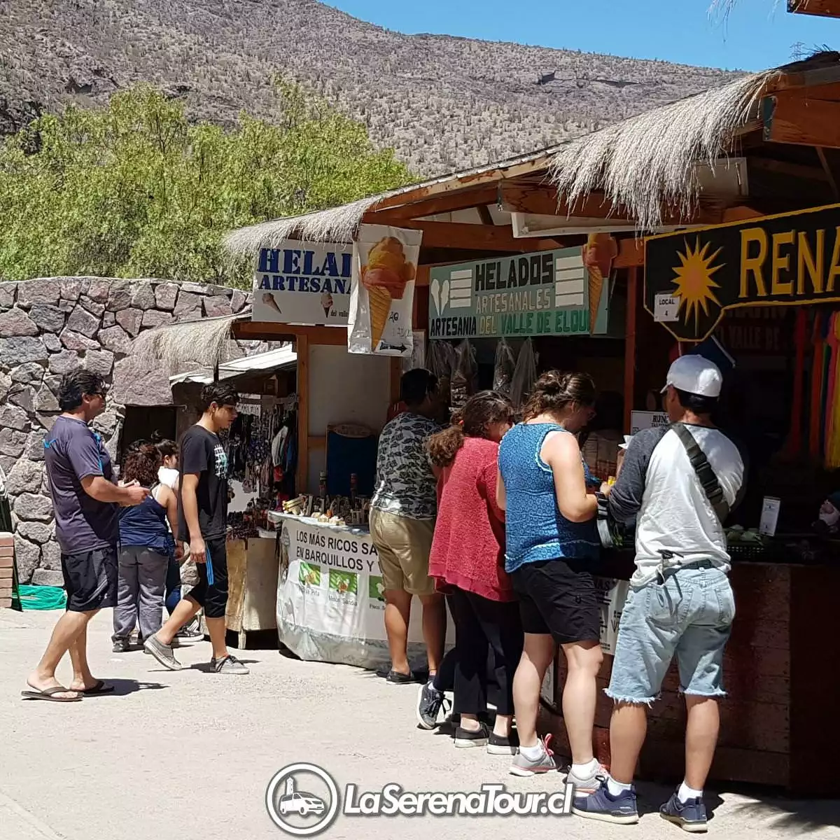 Tour Valle del Elqui - Imagen 4