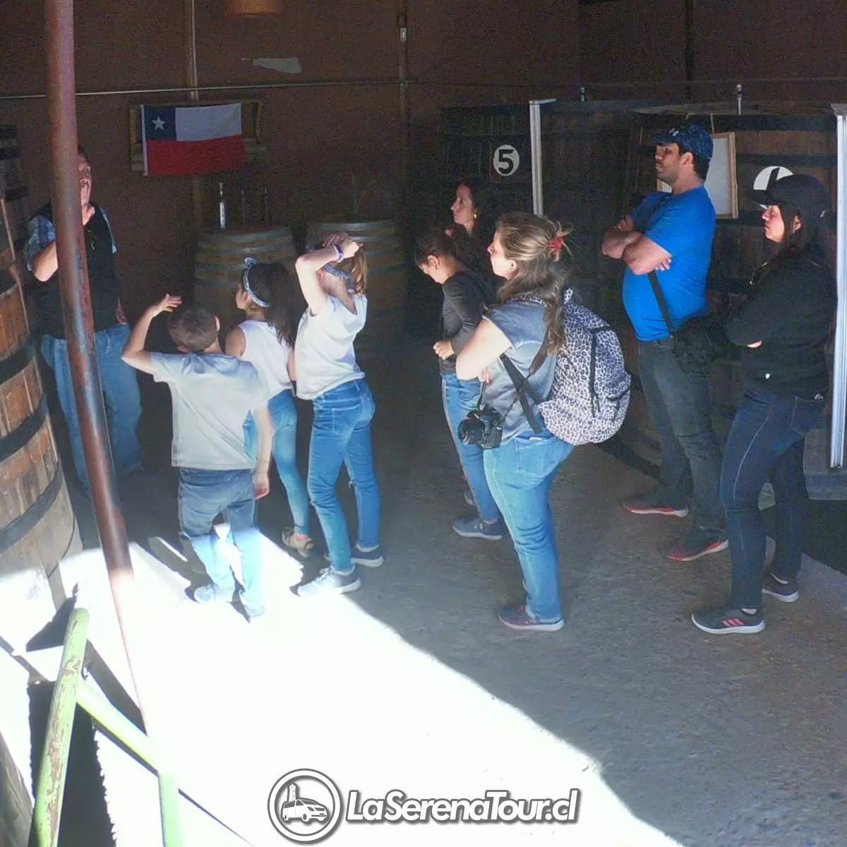 Tour Valle del Elqui - Imagen 6