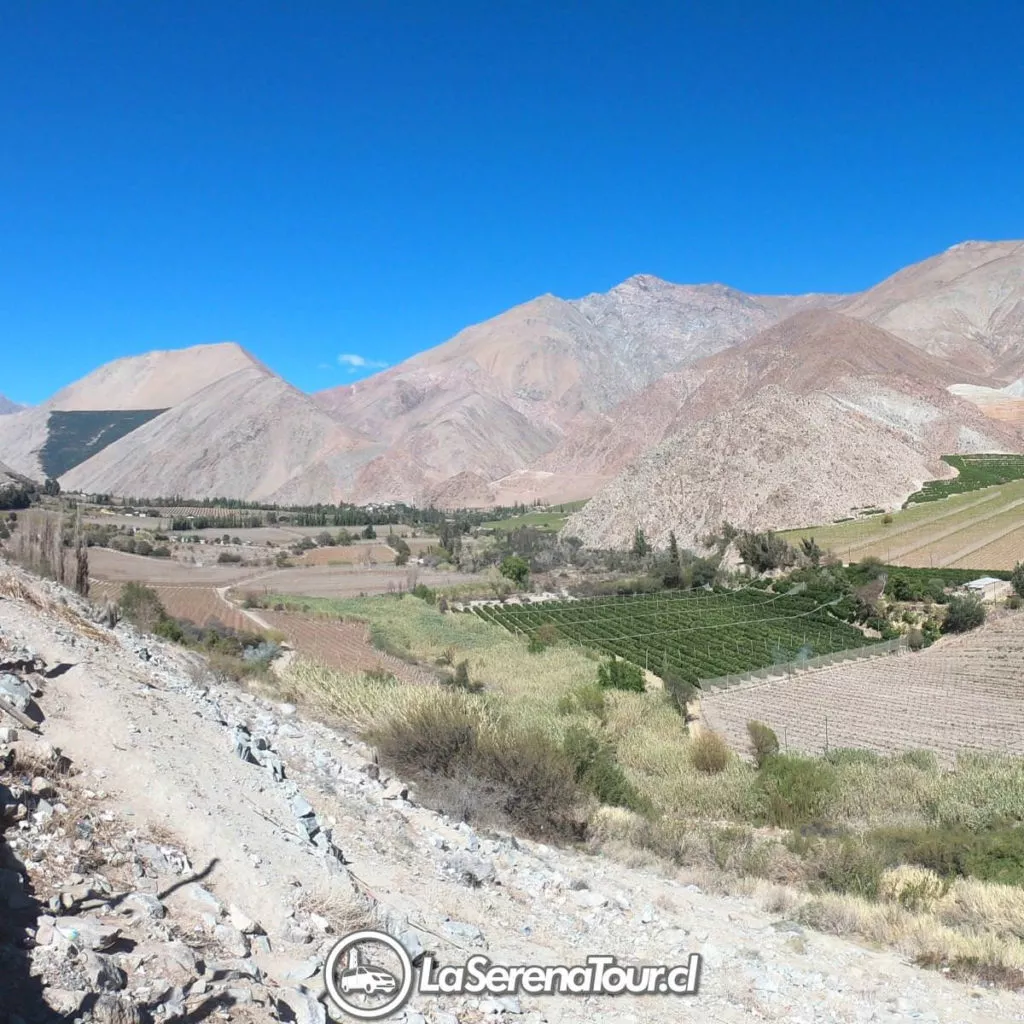 Tour Valle del Elqui