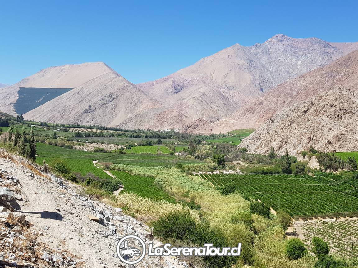 Valle del Elqui