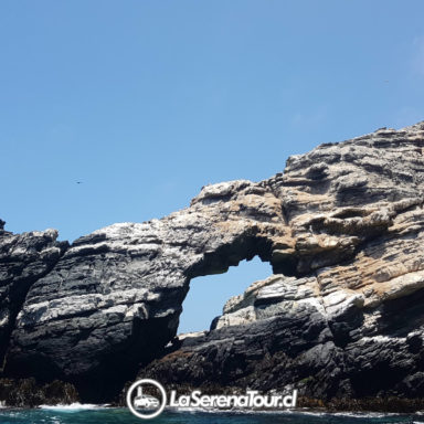 Formaciones Rocosas en Isla Chañaral